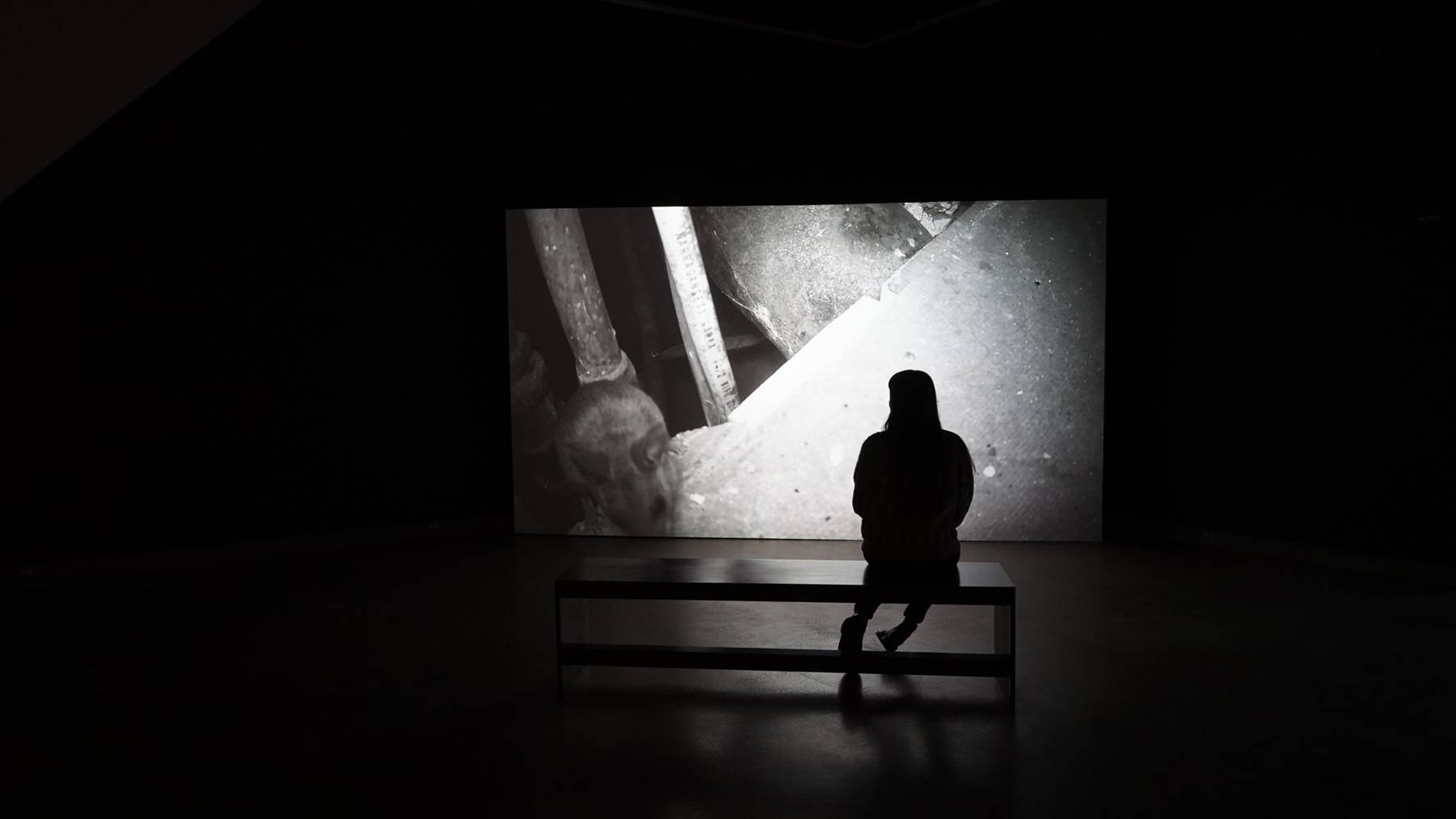 Image of a scene from In the Nameless Hour of the Night_2022_Video_32min